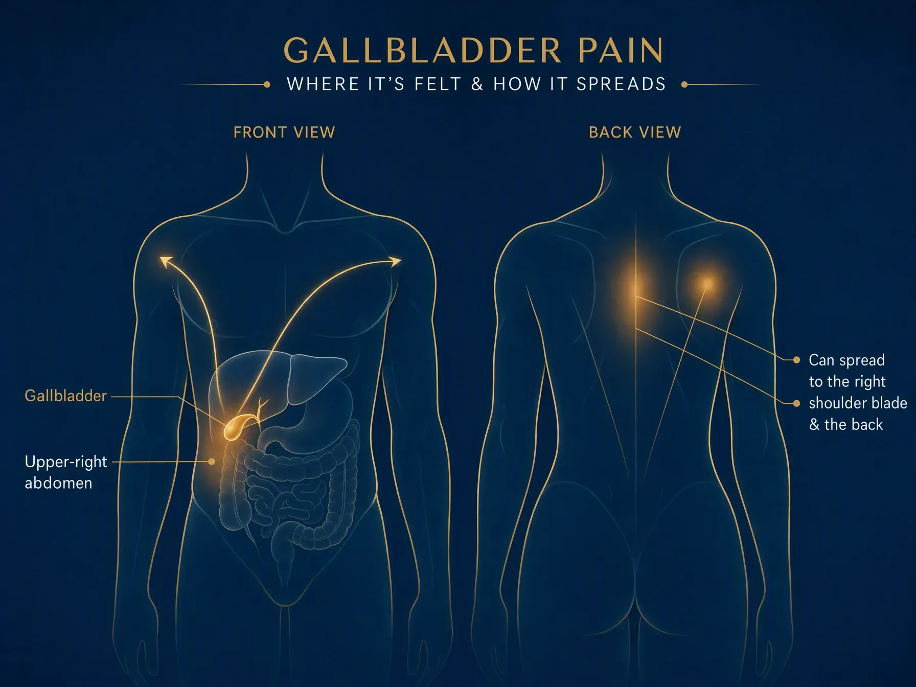 Approved illustration: back-view pain marker moved to the patient’s right, matching the label.