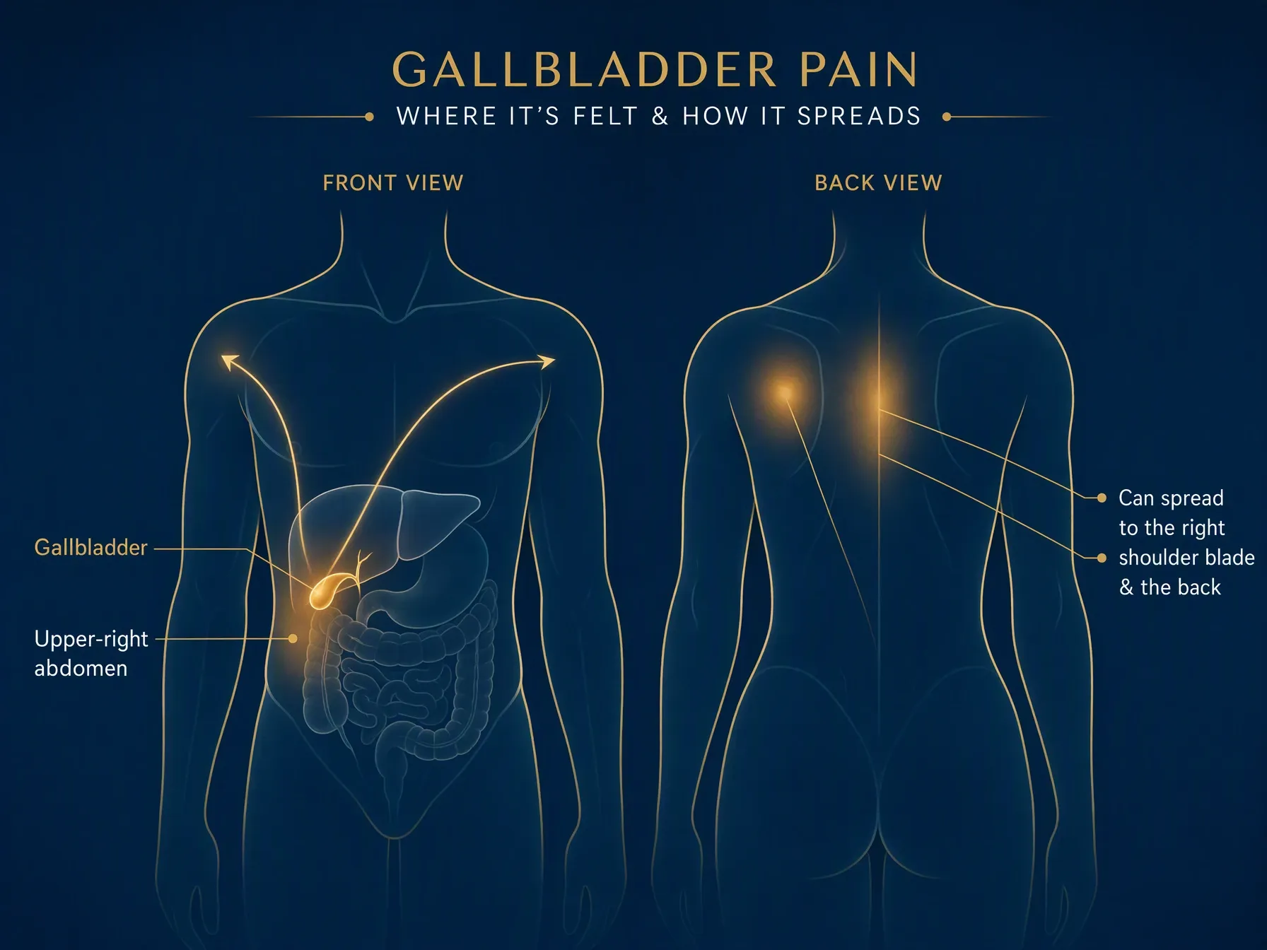 Superseded illustration: back-view shoulder-blade pain marker on the patient’s left, contradicting its own “right shoulder blade” label.